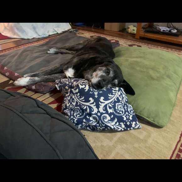 Meet your Posher, Taylor - Picture 4 of 5